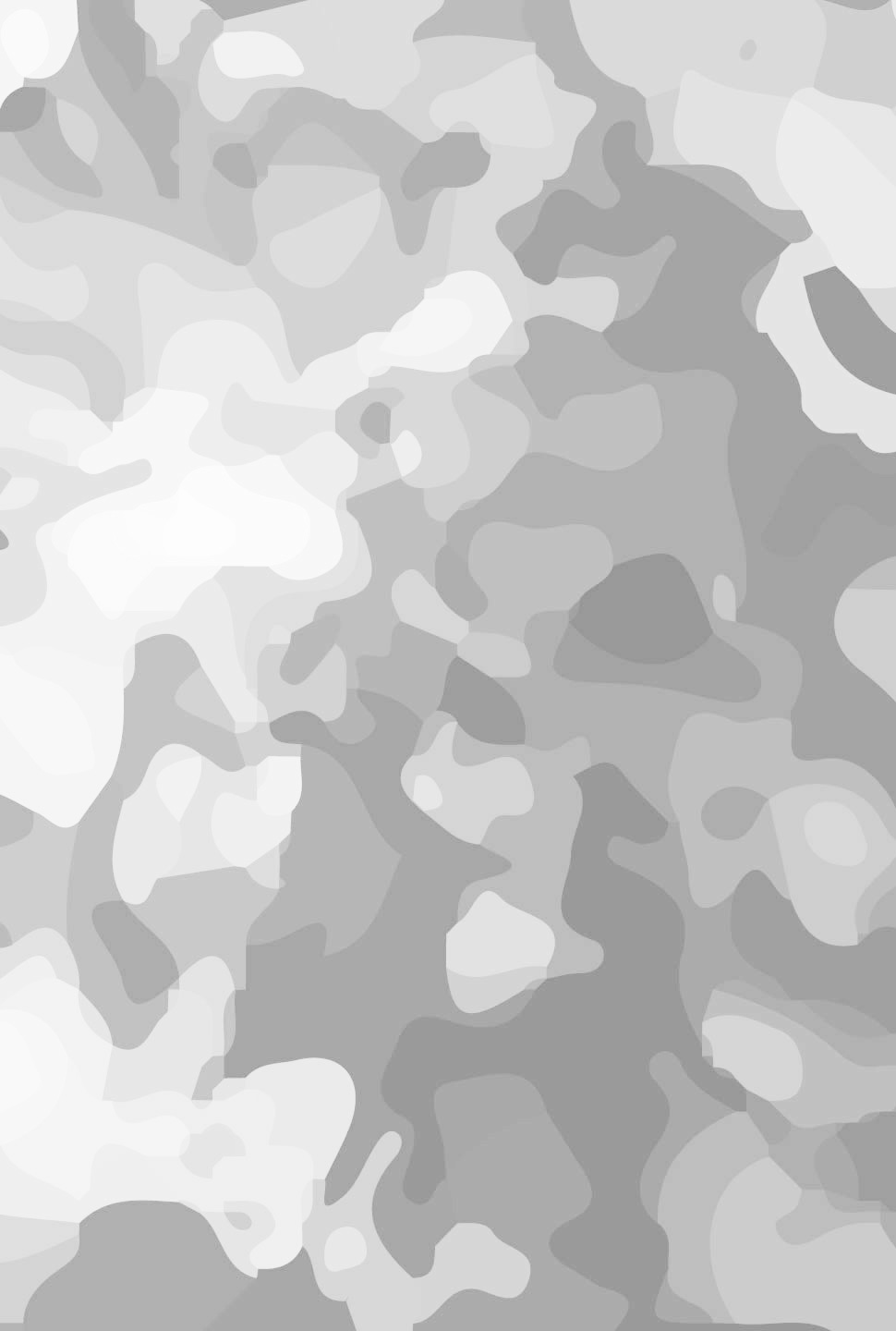 Abstract grayscale camouflage pattern with irregular shapes and varying tones of gray.