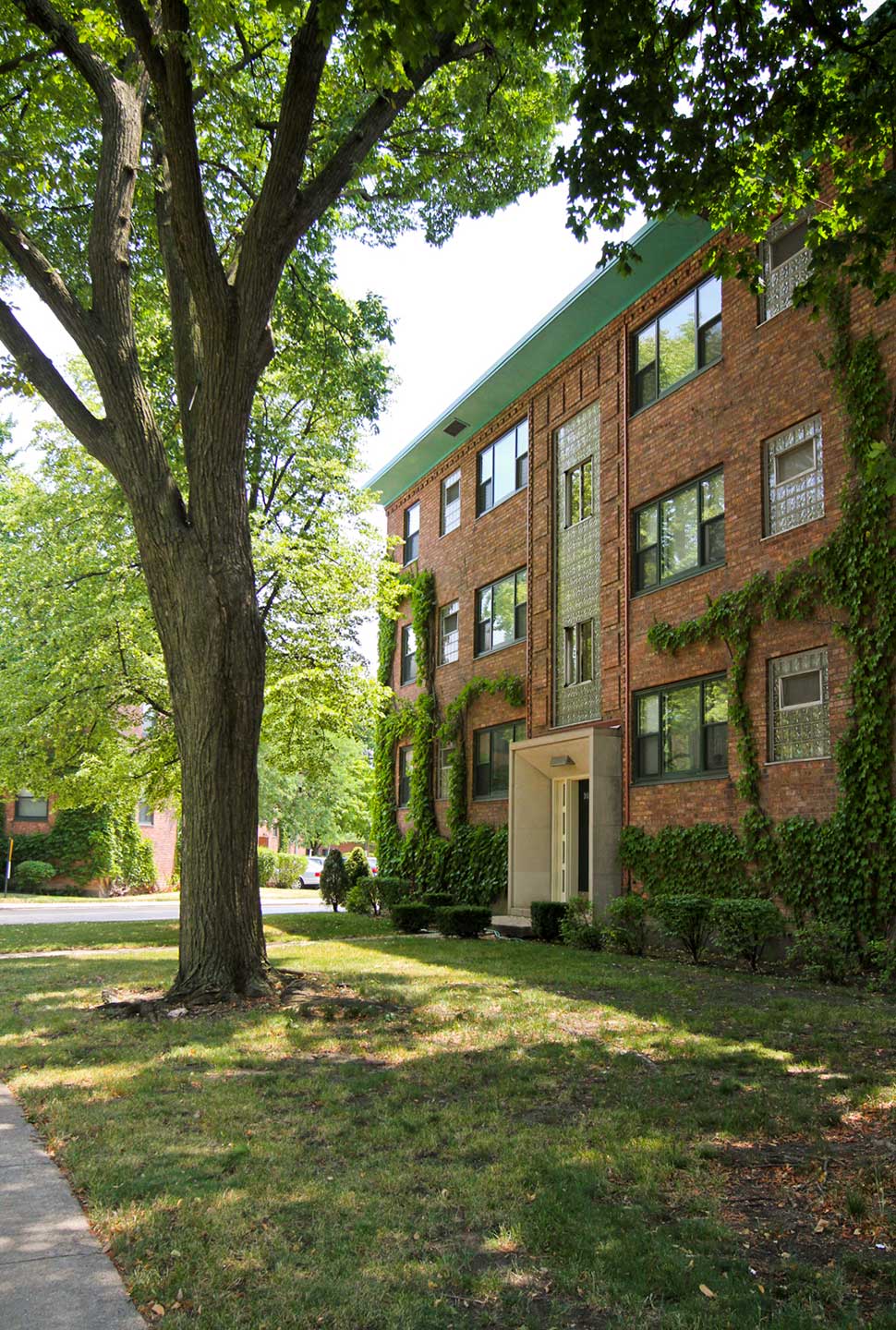 A three-story brick apartment building with ivy growing on the walls, large trees, and a grassy lawn in front.