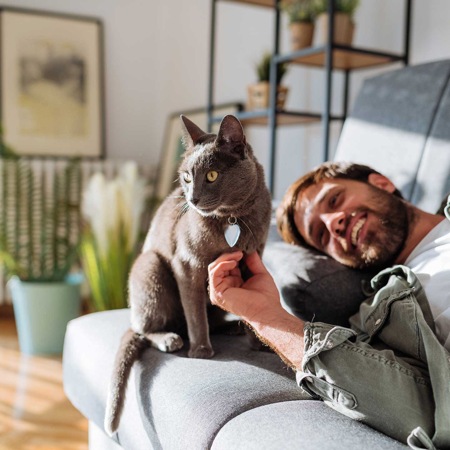 A man lies on a couch smiling while petting a gray cat that sits beside him. The room has plants and a bookshelf in the background.