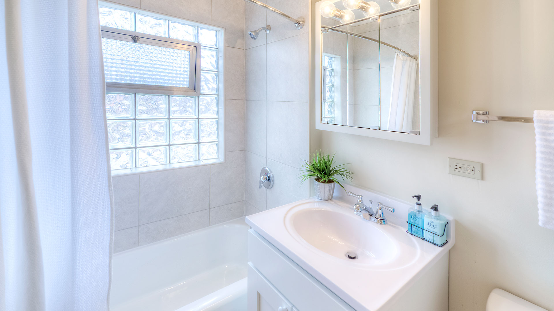 Bright bathroom with white fixtures, a bathtub with a glass block window, a sink with a mirror above it, and a potted plant on the counter.